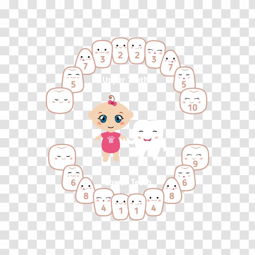 Tooth Animation Drawing - Tree - Cartoon Baby Teeth Transparent PNG