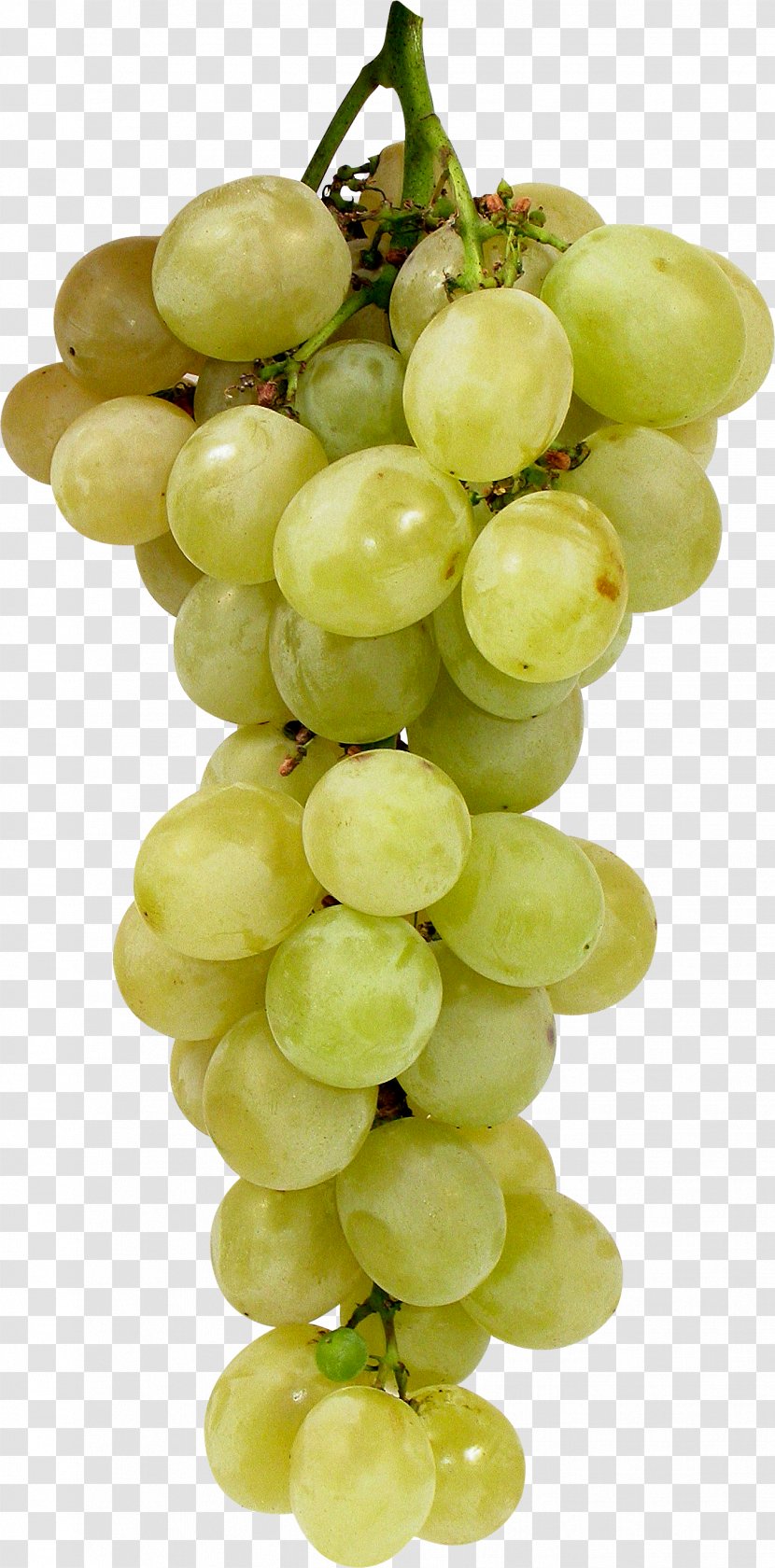 Juice Grape Fruit - Grapevine Family - Green Image Transparent PNG