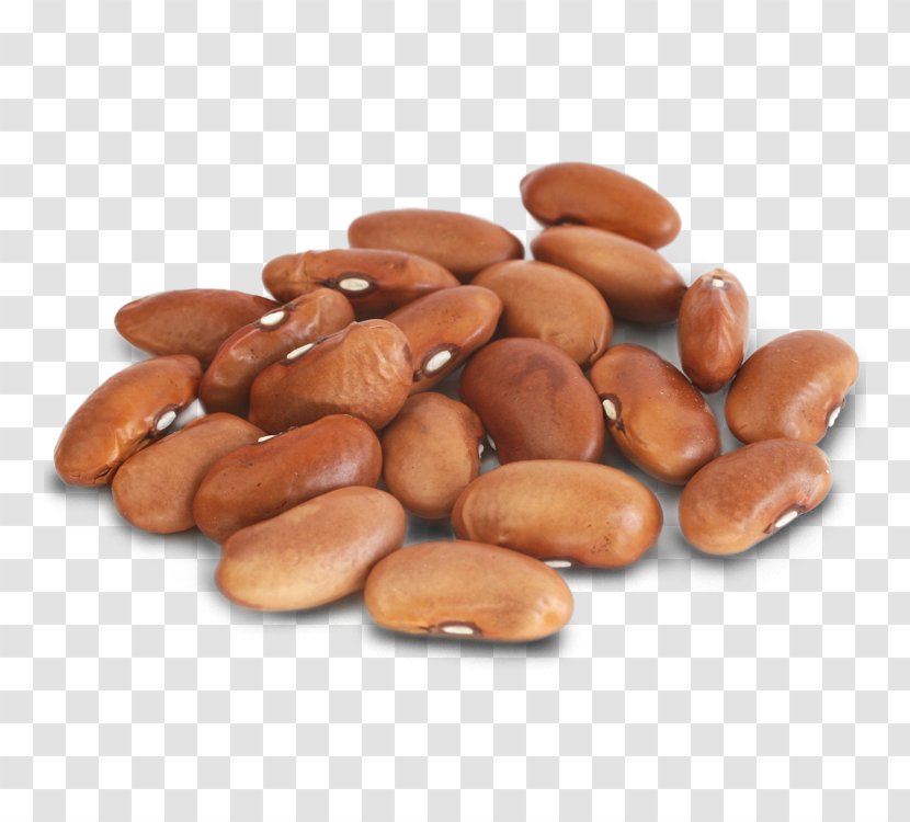 Rice And Beans Red Pinto Bean Kidney - Navy - Vegetable Transparent PNG