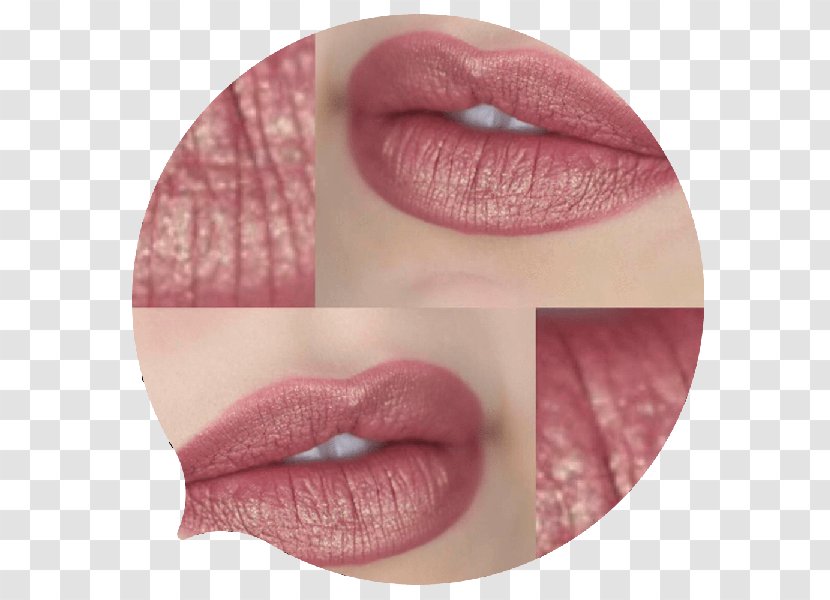Lipstick Cosmetics Make-up Eye Shadow Concealer - Silhouette Transparent PNG