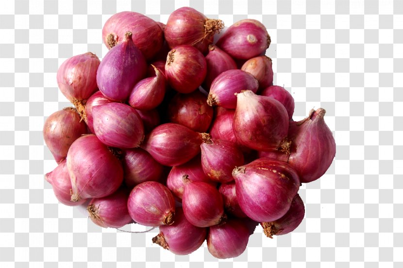 Sambar Shallot Vegetable Red Onion Potato - Food - Onions Transparent PNG