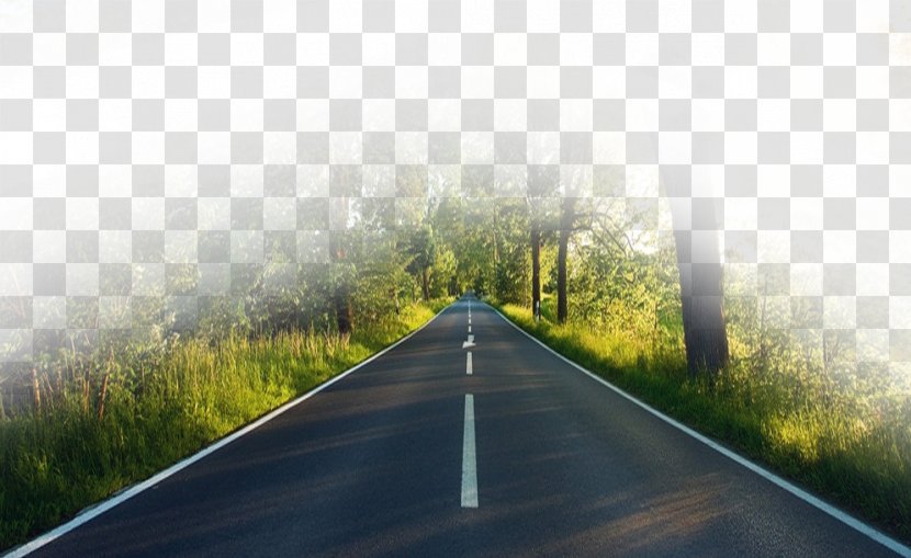 Highway Road - Surface - Forest Transparent PNG
