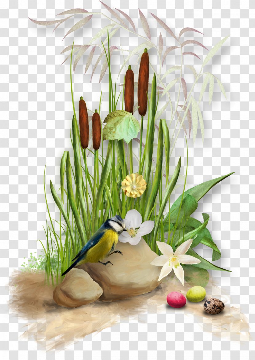 Easter Graphic Design Clip Art - Egg - Plants Transparent PNG