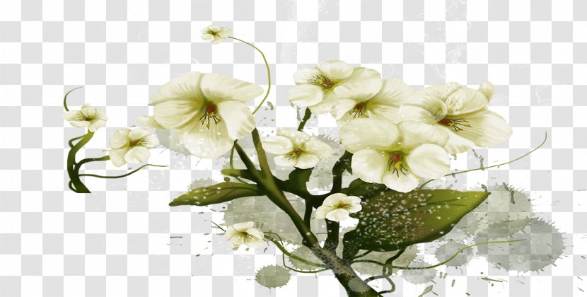 Floral Design Moth Orchids Cut Flowers Flower Bouquet Transparent PNG