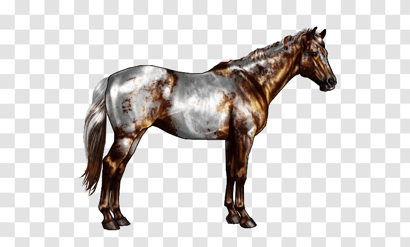 Appaloosa American Paint Horse Markings Roan Chestnut - Varnish Transparent PNG