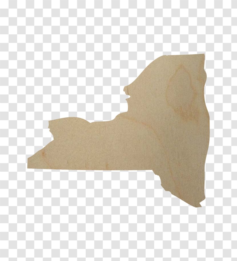 Upstate Medical University New York City Albany Long Island - Watertown - Wood Cut Transparent PNG