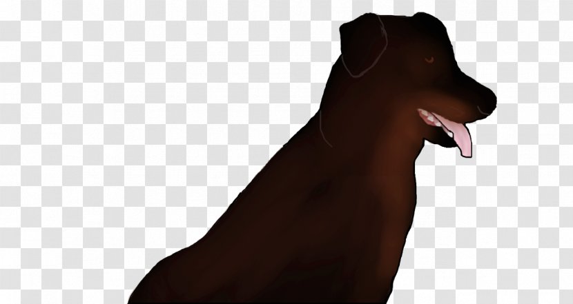 Dog Breed Puppy Snout Neck - Labrador Transparent PNG