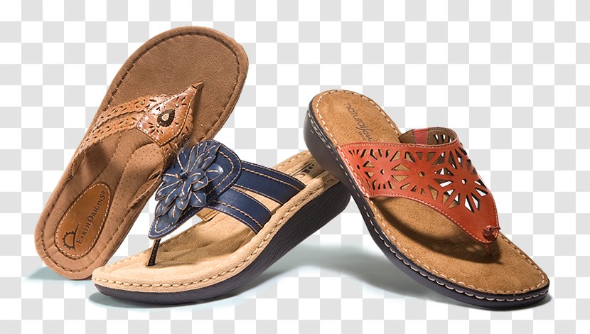 Flip-flops Slipper Bearpaw Shoe Footwear - Summer Stylish Walking Shoes For Women Transparent PNG