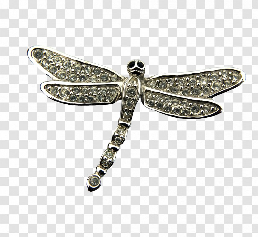 Insect Silver - Dragonfly - Decoration Transparent PNG