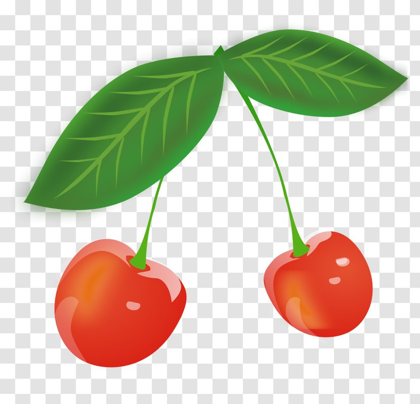 Sour Cherry Fruit Clip Art - Black Transparent PNG