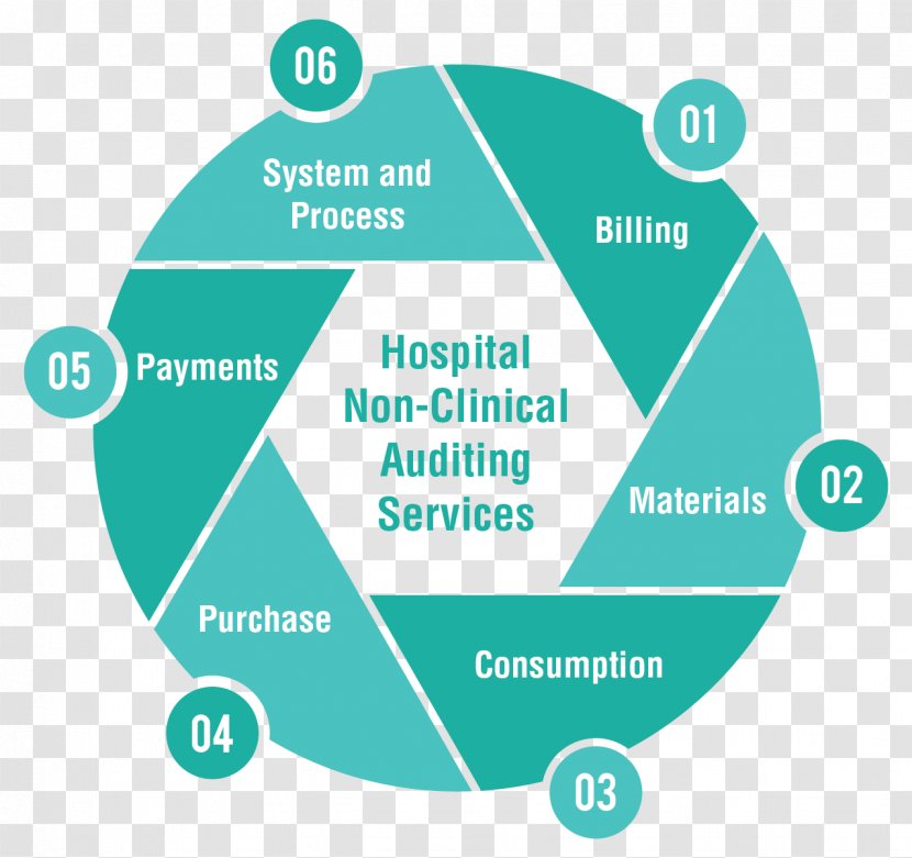 Service Health Care Audit Company Hospital - Outsourcing - Clinical Transparent PNG