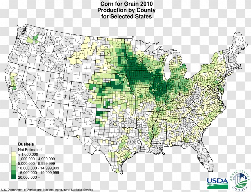 Corn Belt Production In The United States Department Of Agriculture Crop Transparent PNG