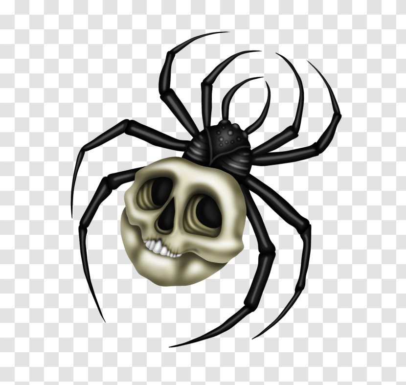 Black Widow Spiders Insect Clip Art - Tangle Web Spider - LADY GAGA SPIDER Transparent PNG
