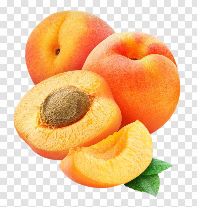 Apricot Peach Fruit Clip Art - Food Transparent PNG