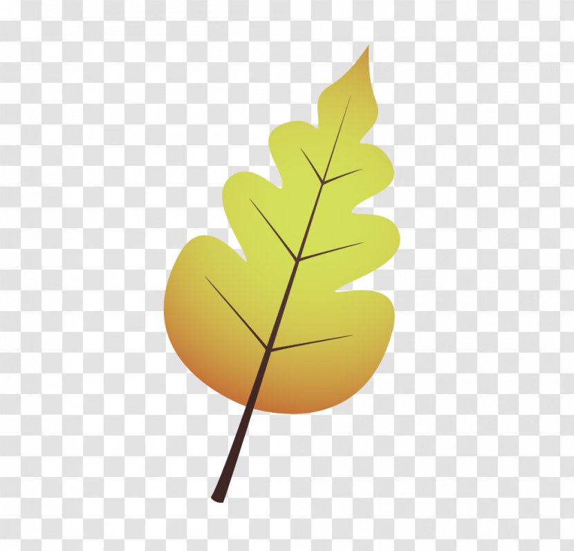 Leaf Autumn - Leaves Transparent PNG