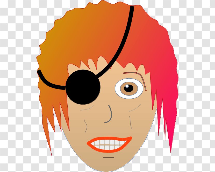 Cheek Facial Expression Eyebrow Face Forehead - Cartoon - Pirate Parrot Transparent PNG