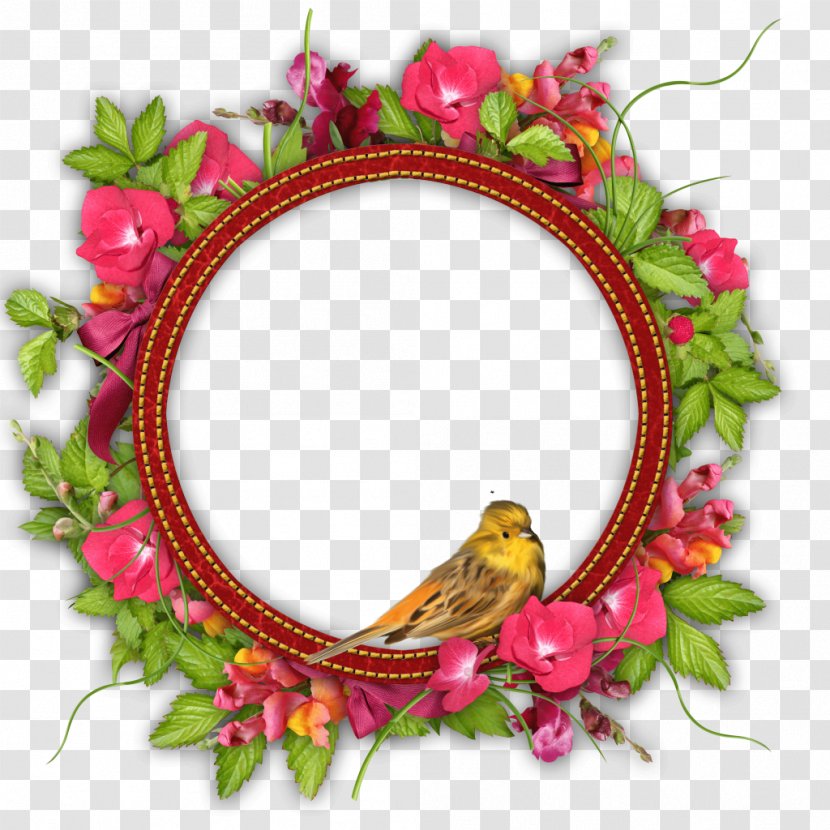 Best Borders Flower Picture Frames Molding - Round Frame Transparent PNG