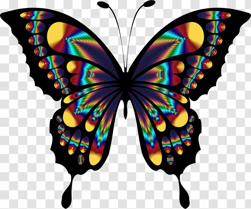 Butterfly Insect Blue Desktop Wallpaper Clip Art - Wing - Butterflies Transparent PNG
