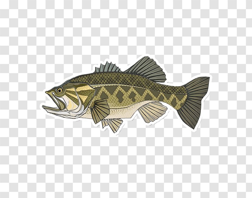 Largemouth Bass Smallmouth Fishing - Printing Transparent PNG