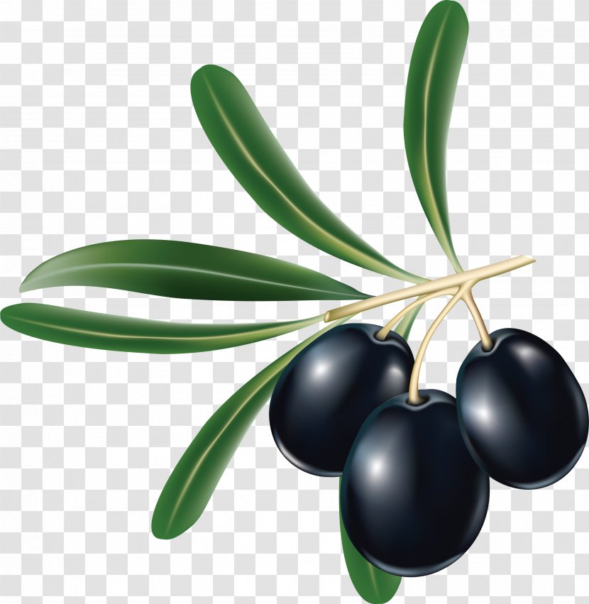 Tapenade Kalamata Olive Greek Cuisine Black - Oil - Olives Transparent PNG