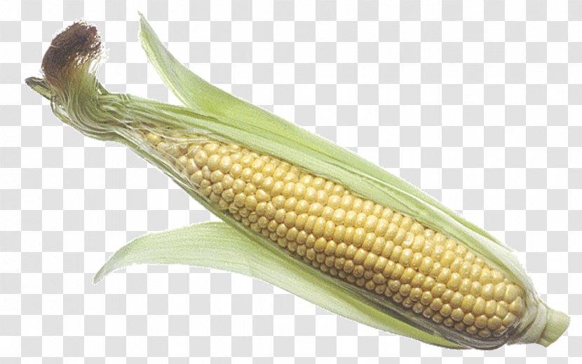 Corn On The Cob Maize Corncob Sweet - Barbecue Transparent PNG