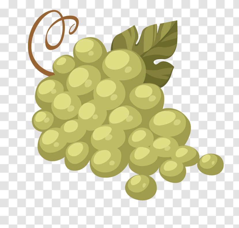 Grape Fruit Peach Illustration - Vitis - Vector Grapes Transparent PNG