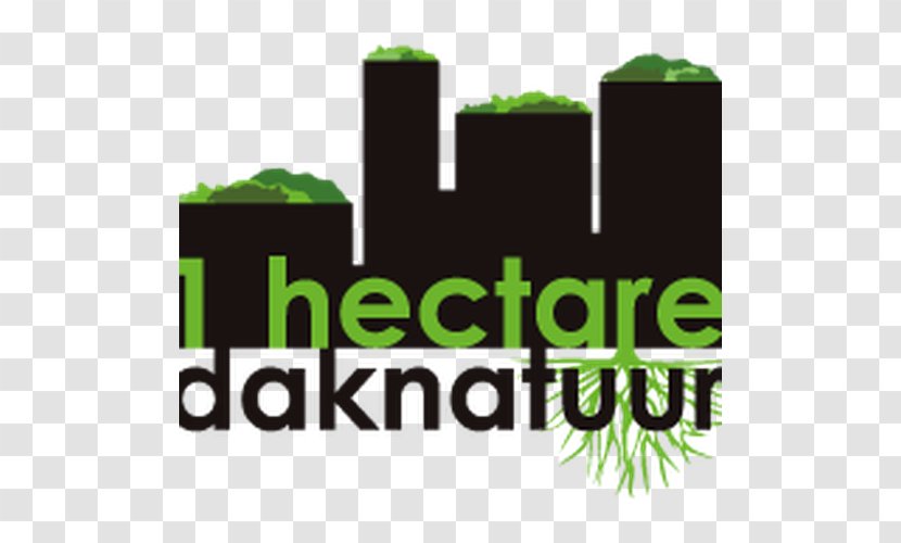 Logo Font Brand Product - Text - Grass Transparent PNG