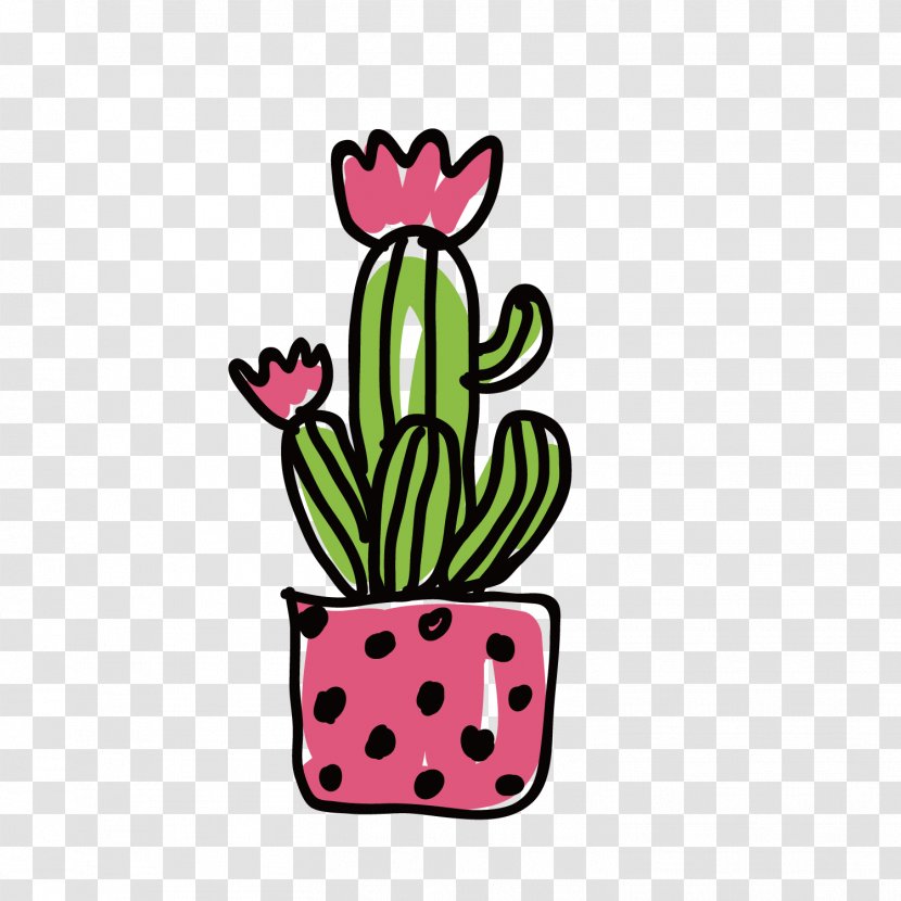 Cactaceae Illustration - Fruit - Vector Cactus Flower Transparent PNG