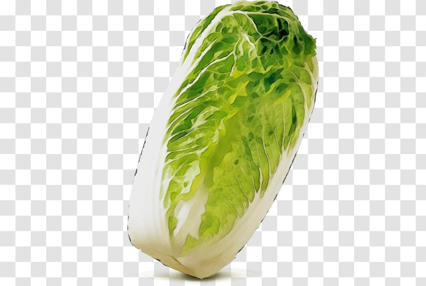 Vegetable Food Cabbage Leaf Romaine Lettuce - Cruciferous Vegetables Transparent PNG
