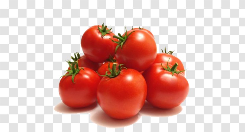 Growing Tomatoes Vegetable Fruit Food Tomato Sauce - Nightshade Family Transparent PNG