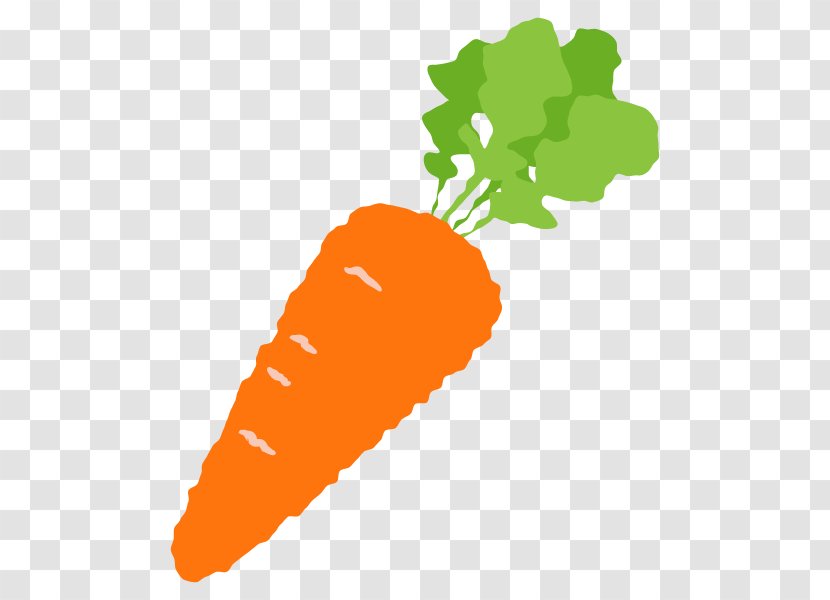 Carrot Illustration Vegetable Clip Art Plants - Organism Transparent PNG