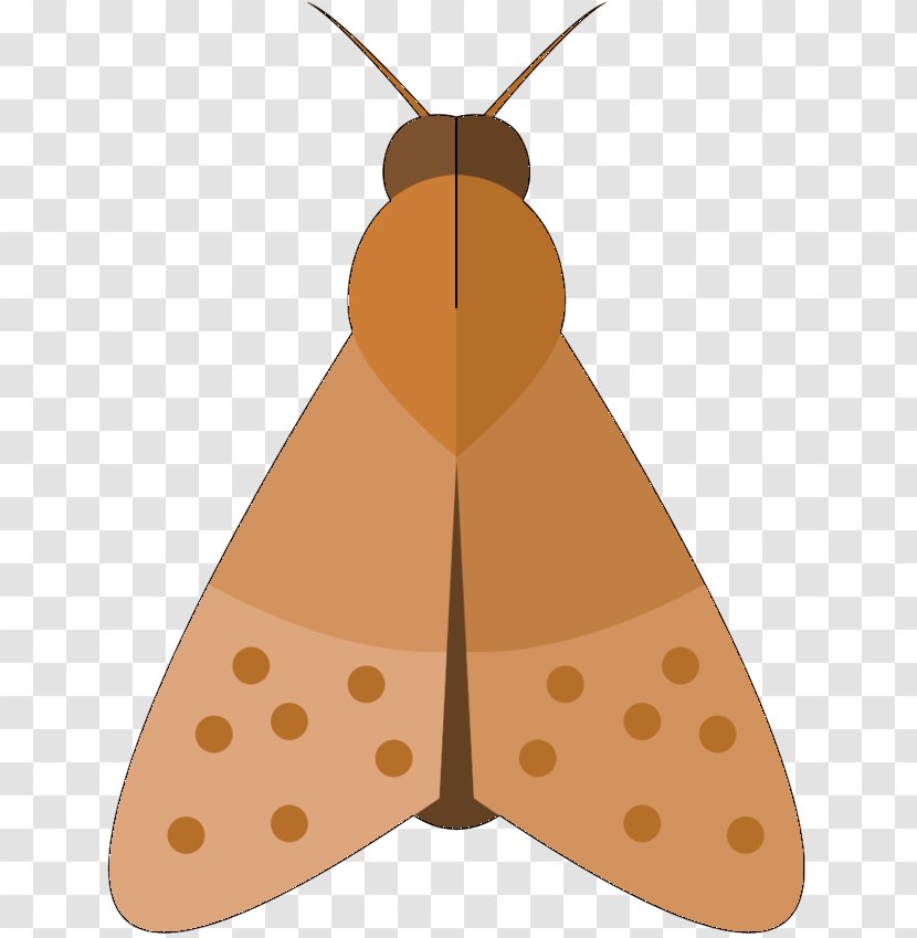 Moth M. Butterfly Clip Art Symmetry Product Design - Emperor Moths Transparent PNG