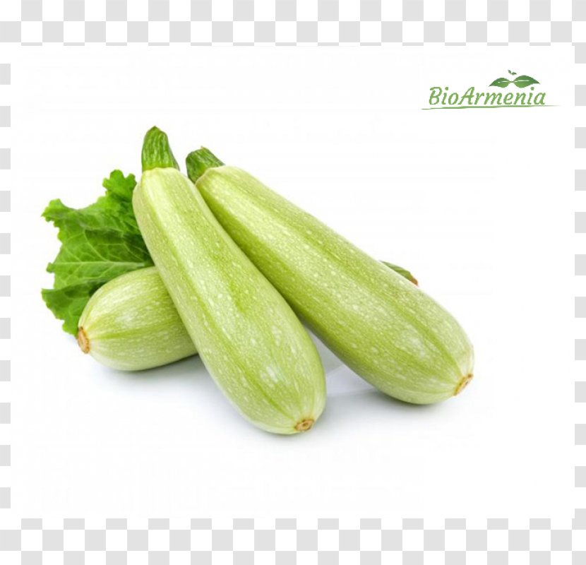 Cucurbita Pepo Summer Squash Zucchini Vegetable Transparent PNG