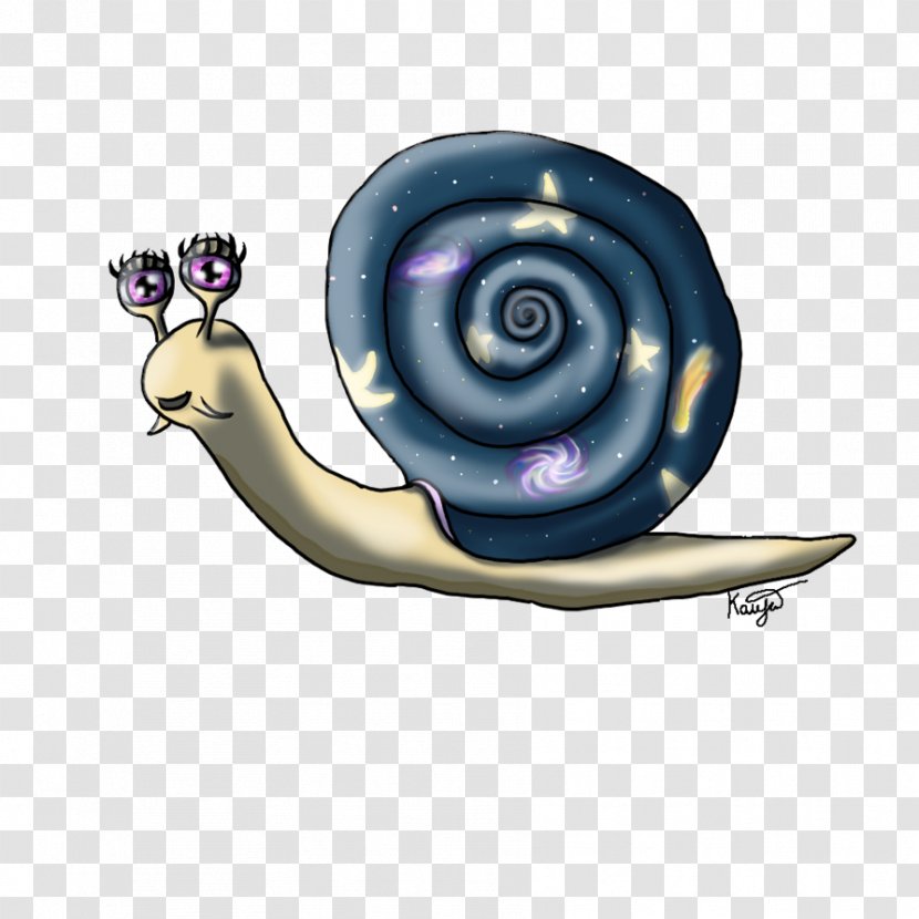 Snail Gastropods Invertebrate - Animal Transparent PNG