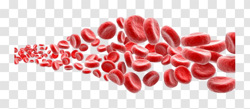 Red Blood Cell White Platelet - Microscope Transparent PNG