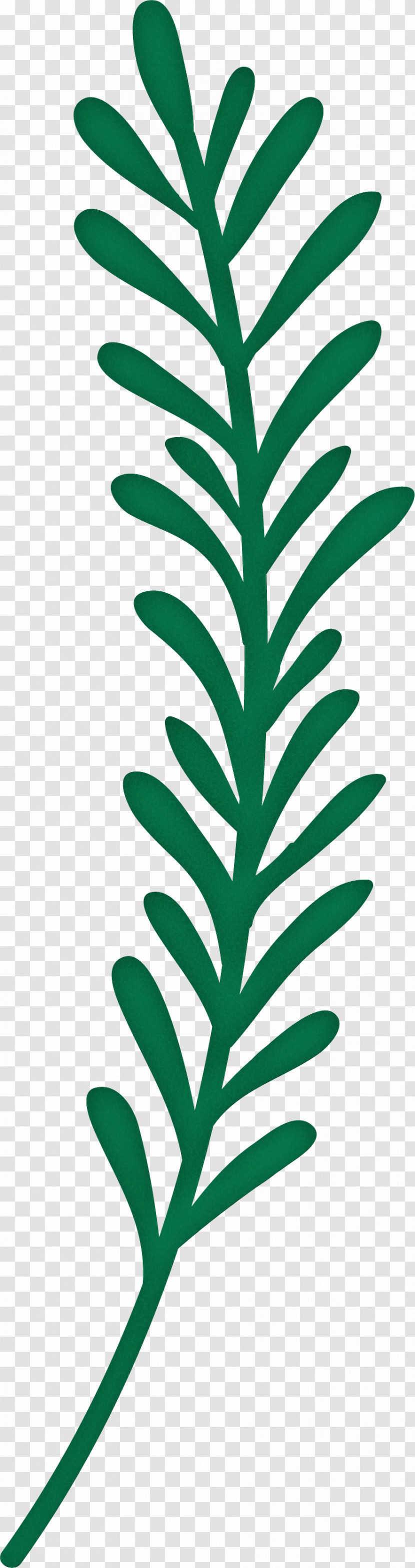 Leaf Transparent PNG