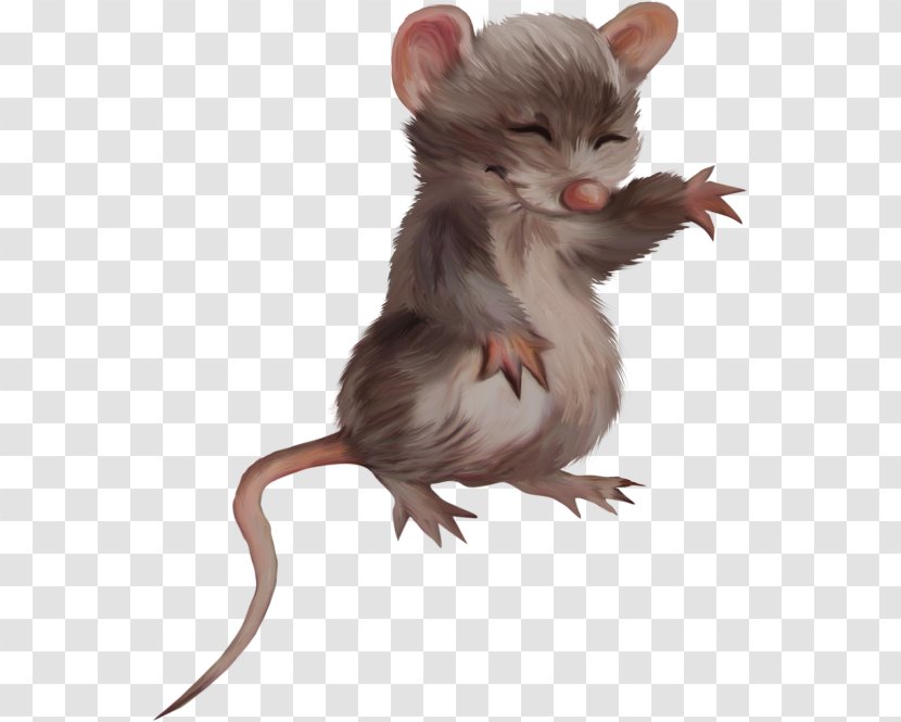Rat Computer Mouse Rodent Mickey Krysa Transparent PNG
