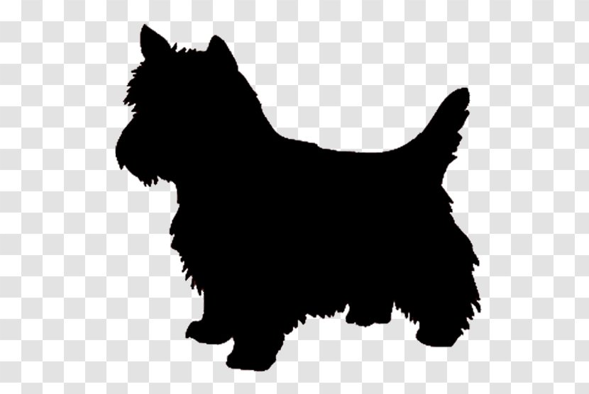 West Highland White Terrier Yorkshire Airedale Cairn - Pet - Silhouette Transparent PNG