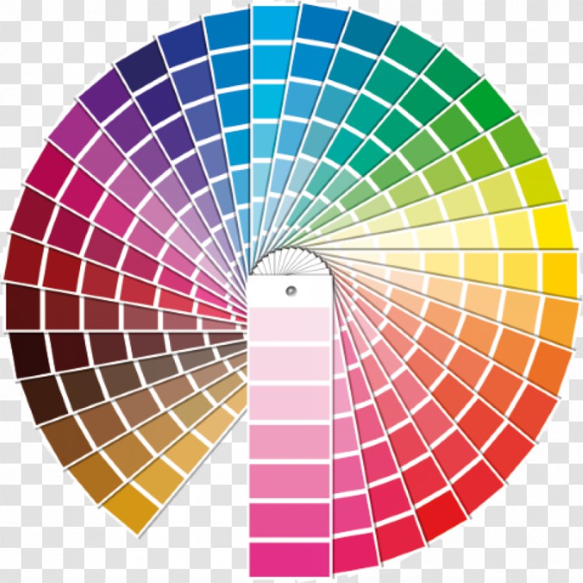 Powder Coating Color Chart RAL Colour Standard Paint - Area - Swatches Vector Transparent PNG