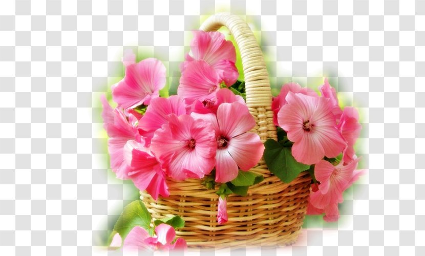 Flower Morning Animaatio Yandex Search - Garden Roses Transparent PNG