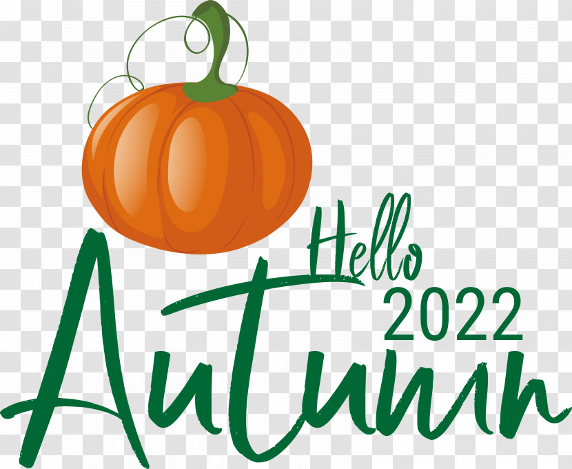 Pumpkin Transparent PNG