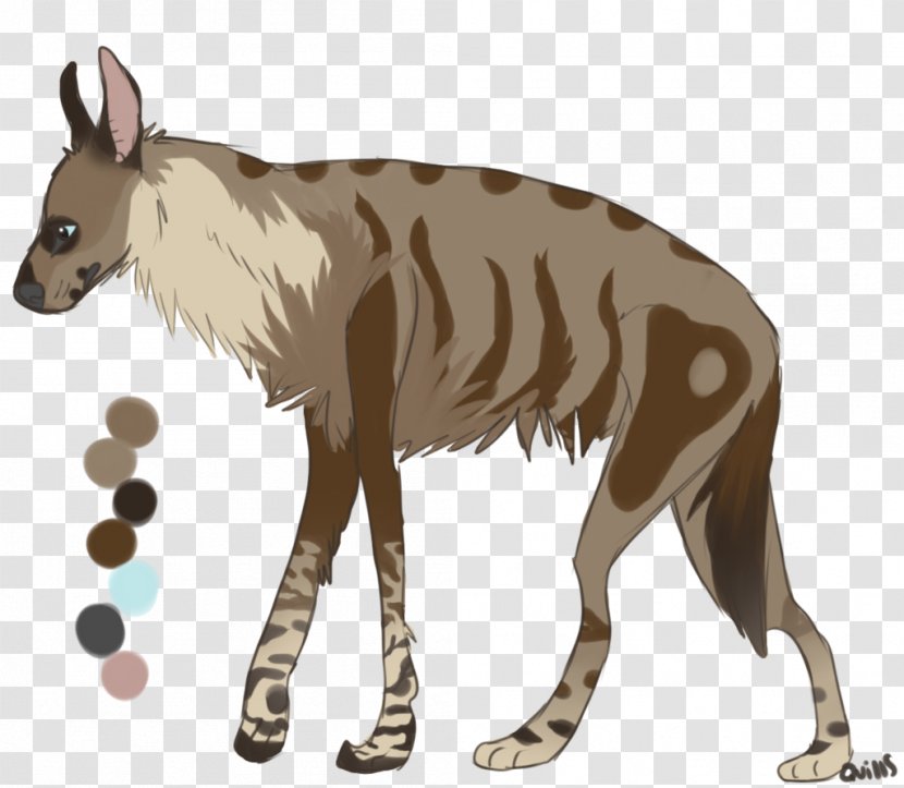 Macropodidae Dog Mammal Canidae Animal - Fauna - Hyena Transparent PNG