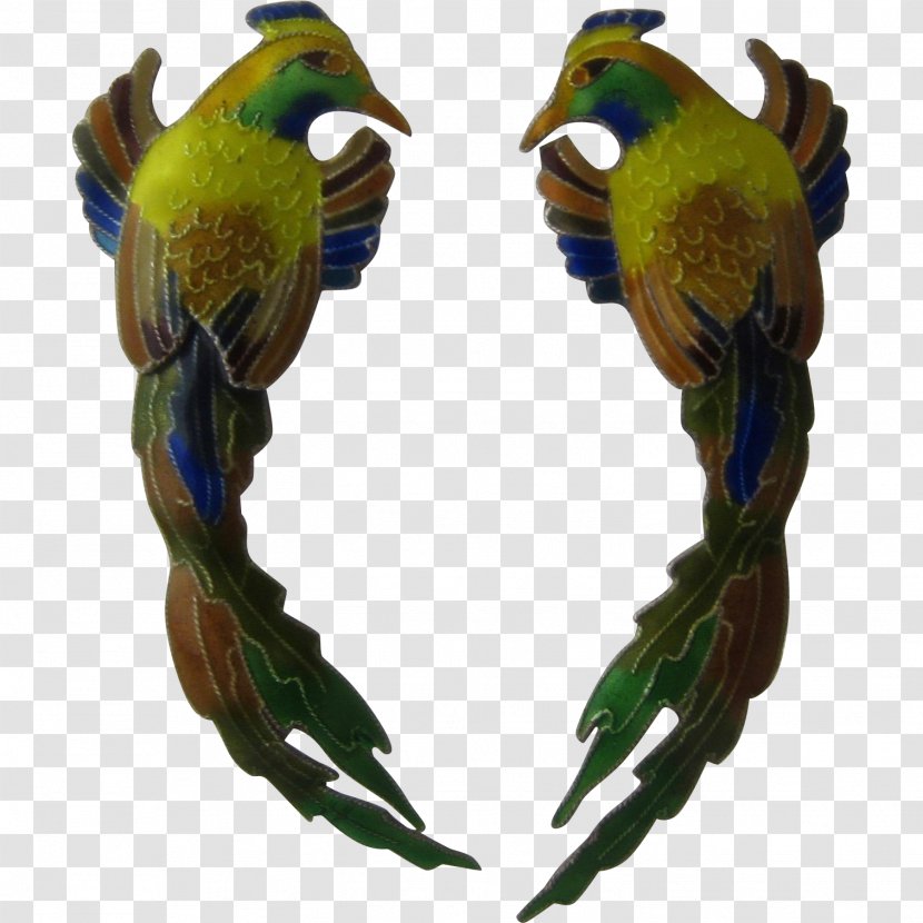 Parrot Bird Parakeet Finch Macaw - Perico Transparent PNG