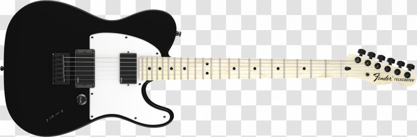 Jim Root Telecaster Fender Stratocaster Squier Mustang Bass - Guitarist - Electric Guitar Transparent PNG