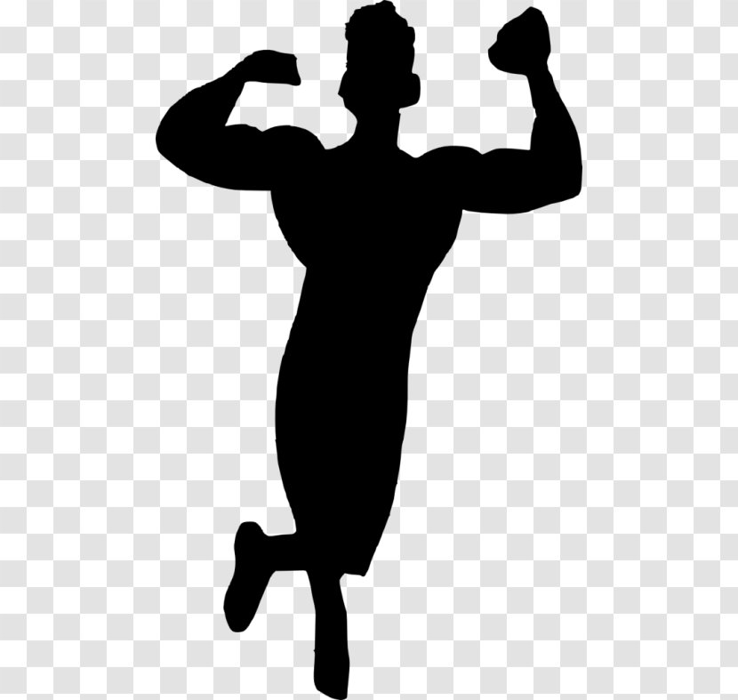 Bodybuilding Physical Fitness Muscle Pulldown Exercise - Man Transparent PNG