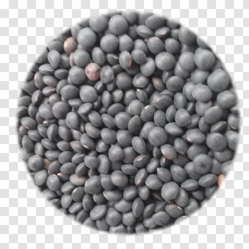 Seed Commodity Bean Transparent PNG