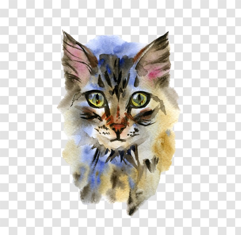 Maine Coon Siamese Cat Drawing Illustration Watercolor Painting - Pet Grooming Transparent PNG