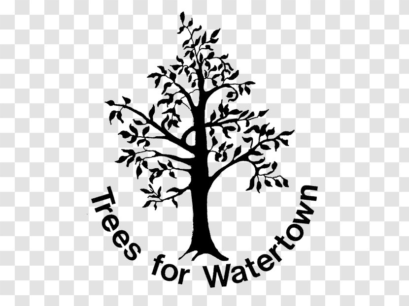 Watertown Metfern Cemetary Organization Somerville Tree - Peace Logo Transparent PNG
