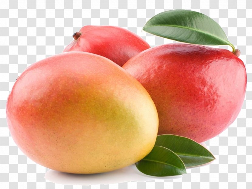 Juice Mango Fruit Alphonso Drupe Transparent PNG