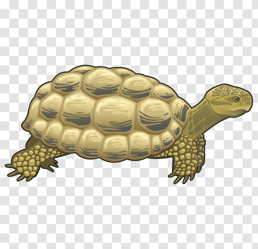Turtle Reptile Giraffe Clip Art - Stock Photography Transparent PNG